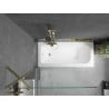 Mexen Vega Rechteckige Badewanne 150 x 70 cm mit Verkleidung und 1-flügeliger Trennwand 100 cm, transparent, gold