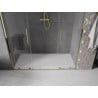 Mexen Velar Duo Schiebeduschtüren 170 cm, transparent, gold - 871-170-000-02-50