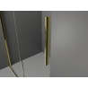 Mexen Velar Schiebetür-Duschkabine 120 x 100 cm, transparent, gold - 871-120-100-01-50