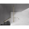 Mexen Velar Schiebeduschwand Walk-in 100 x 200 cm, transparent 8 mm, gebürstetes Gold - 871-100-000-03-55