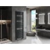 Mexen Helios Badezimmerheizkörper 1800 x 600 mm, 990 W, Anthrazit - W103-1800-600-00-66