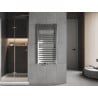 Mexen Uran Badezimmerheizkörper 1200 x 600 mm, 492 W, Chrom - W105-1200-600-00-01