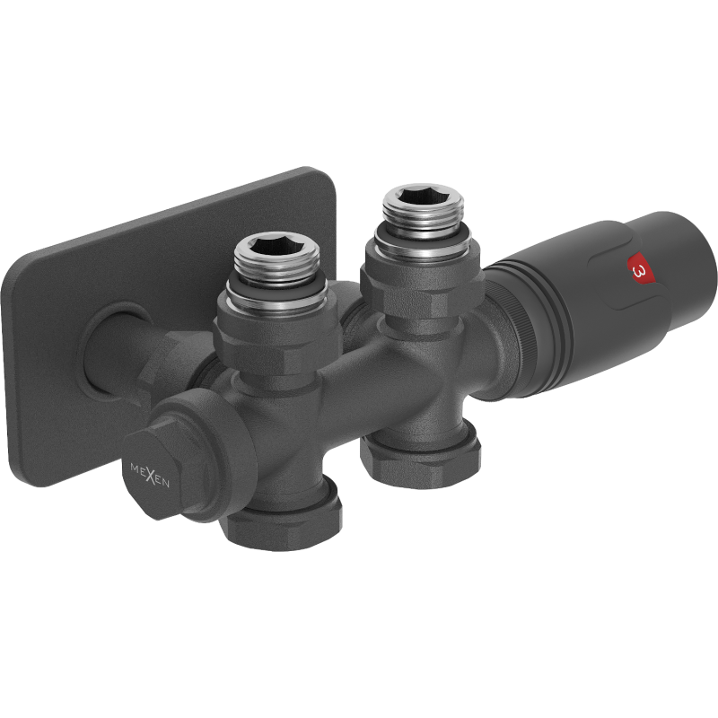 Mexen G00 Thermostat-Set, winkel-/gerade mit Abdeckung S, Duplex, DN50, anthrazit - W908-900-910-66