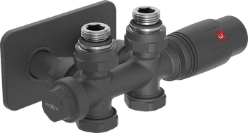 Mexen G00 Thermostat-Set, winkel-/gerade mit Abdeckung S, Duplex, DN50, anthrazit - W908-900-910-66