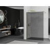Mexen Kioto Duschwand Walk-in 120 x 200 cm, Graphit 8 mm, gebürstetes Gold - 800-120-101-55-40