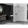 Mexen Kioto L Duschwand Walk-in 65 x 200 cm, transparent, gebürstet Gewehrgrau - 800-065-103-66-00