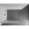 Mexen Kioto L Duschwand Walk-in 120 x 200 cm, Frost, gebürstetes Gold - 800-120-103-55-30