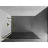 Mexen Kioto L Duschwand Walk-in 100 x 200 cm, Graphit, gebürstetes Gold - 800-100-103-55-40