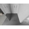 Mexen Kioto L Duschwand Walk-in 110 x 200 cm, Spiegel, Chrom - 800-110-103-01-50