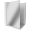 Mexen Kioto L Duschwand Walk-in 120 x 200 cm, Spiegel, gebürsteter Nickel - 800-120-103-97-50