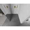Mexen Kioto L Duschwand Walk-in 110 x 200 cm, Spiegel, Gold - 800-110-103-50-50