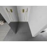 Mexen Kioto L Duschwand Walk-in 100 x 200 cm, Spiegel, gebürstetes Gold - 800-100-103-55-50