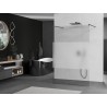 Mexen Kioto Freistehende Duschwand 110 x 200 cm, transparent/mattiert 8 mm, gun metal - 800-110-002-95-35