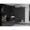 Mexen Kioto freistehende Duschwand 110 x 200 cm, Spiegel 8 mm, Gun Metal - 800-110-002-95-50