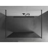 Mexen Kioto freistehende Duschwand 120 x 200 cm, Spiegel 8 mm, Gun Metal - 800-120-002-95-50