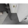 Mexen Kioto-R L Rundduschwand Walk-in 100 x 200 cm, transparent, gebürstetes Gold - 800-100-103-55-06