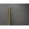 Mexen Kioto Duschwand Walk-in 100 x 200 cm, Streifen 8 mm, Gold - 800-100-101-50-09