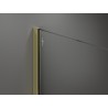 Mexen Kioto Duschwand Walk-in 55 x 200 cm, transparent 8 mm, gold - 800-055-101-50-00