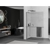 Mexen Kioto+ L Duschwand mit Ablage Walk-in 60 x 200 cm, transparent, gebürstet Gun Grau - 800-060-123-66-00