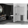 Mexen Kioto+ L Duschwand mit Ablage Walk-in 95 x 200 cm, transparent, Gun Metal - 800-095-123-95-00
