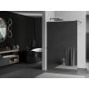 Mexen Kioto+ Duschwand mit Regal Walk-in 80 x 200 cm, Spiegel, gebürstetes Gun Gray - 800-080-121-66-50