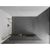 Mexen Kioto+ L Duschwand mit Regal Walk-in 110 x 200 cm, transparent, gold - 800-110-123-50-00