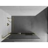Mexen Kioto+ L Duschwand mit Ablage Walk-in 95 x 200 cm, transparent, gold - 800-095-123-50-00