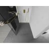 Mexen Kioto+ L Duschwand mit Ablage Walk-in 95 x 200 cm, transparent, gold - 800-095-123-50-00