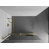 Mexen Kioto+ L Duschwand mit Ablage Walk-in 120 x 200 cm, transparent, gebürstet gold - 800-120-123-55-00