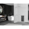 Mexen Kioto+ L Duschwand mit Ablage Walk-in 110 x 200 cm, satiniert, gebürsteter Nickel - 800-110-123-97-30