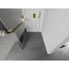 Mexen Kioto+ L Duschwand mit Ablage Walk-in 100 x 200 cm, transparent/eisenglas, gold - 800-100-123-50-35