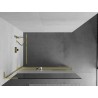Mexen Kioto+ L Duschwand mit Ablage Walk-in 100 x 200 cm, transparent/eisenglas, gold - 800-100-123-50-35
