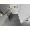 Mexen Kioto+ L Duschwand mit Regal Walk-in 120 x 200 cm, transparent/frost, gold - 800-120-123-50-35