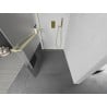 Mexen Kioto+ L Duschwand mit Ablage Walk-in 80 x 200 cm, transparent/matt, gebürstet gold - 800-080-123-55-35
