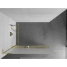 Mexen Kioto+ L Duschwand mit Regal Walk-in 110 x 200 cm, Frost, Gold - 800-110-123-50-30