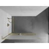 Mexen Kioto+ L Duschwand mit Regal Walk-in 120 x 200 cm, Frost, Gold - 800-120-123-50-30