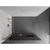 Mexen Kioto+ L Duschwand mit Regal Walk-in 100 x 200 cm, Graphit, Gold - 800-100-123-50-40