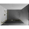 Mexen Kioto+ L Duschwand mit Regal Walk-in 110 x 200 cm, Graphit, Gold - 800-110-123-50-40