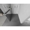 Mexen Kioto+ L Duschwand mit Regal Walk-in 100 x 200 cm, Spiegel, Chrom - 800-100-123-01-50