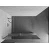 Mexen Kioto+ L Duschwand mit Regal Walk-in 90 x 200 cm, Spiegel, gebürsteter Nickel - 800-090-123-97-50