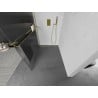 Mexen Kioto+ L Duschabtrennung mit Ablage Walk-in 70 x 200 cm, Streifen, Gold - 800-070-123-50-09