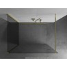 Mexen Kioto Duschwand Walk-in 110 x 100 cm, transparent, gold - 800-110-212-50-00-100