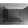 Mexen Kioto Duschwand Walk-in 100 x 100 cm, transparent, gebürstet gold - 800-100-212-55-00-100