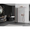 Mexen Kioto Duschwand Walk-in 105 x 100 cm, transparent, Roségold - 800-105-212-60-00-100