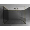 Mexen Kioto Duschwand Walk-in 120 x 85 x 40 cm, transparent, gold - 800-120-085-221-50-00-040