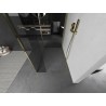 Mexen Kioto Duschwand Walk-in 100 x 100 x 40 cm, transparent, gold - 800-100-100-221-50-00-040