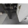 Mexen Kioto Duschwand Walk-in 105 x 100 x 40 cm, transparent, gold - 800-105-100-221-50-00-040