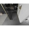 Mexen Kioto Duschwand Walk-in 100 x 90 x 40 cm, transparent, gebürstetes Gold - 800-100-090-221-55-00-040