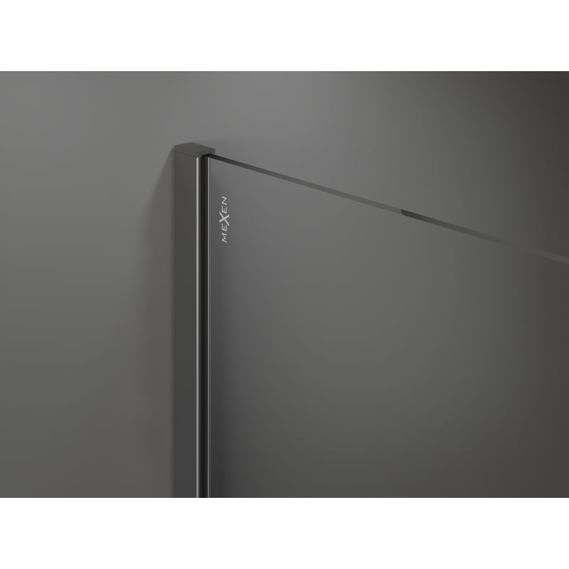 Mexen Kioto Duschwand Walk-in 100 x 95 cm, transparent, Gun Metal - 800-100-202-95-00-095