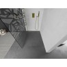 Mexen Kioto L Duschwand Walk-in 120 x 200 cm, weißes Muster, Gold - 800-120-103-50-85